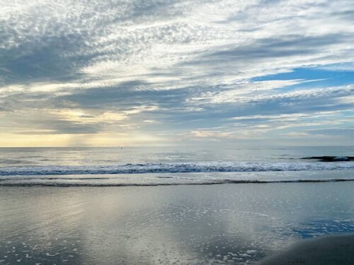 jacksonville beach moms V 4xJank 6U unsplash e1724676945121