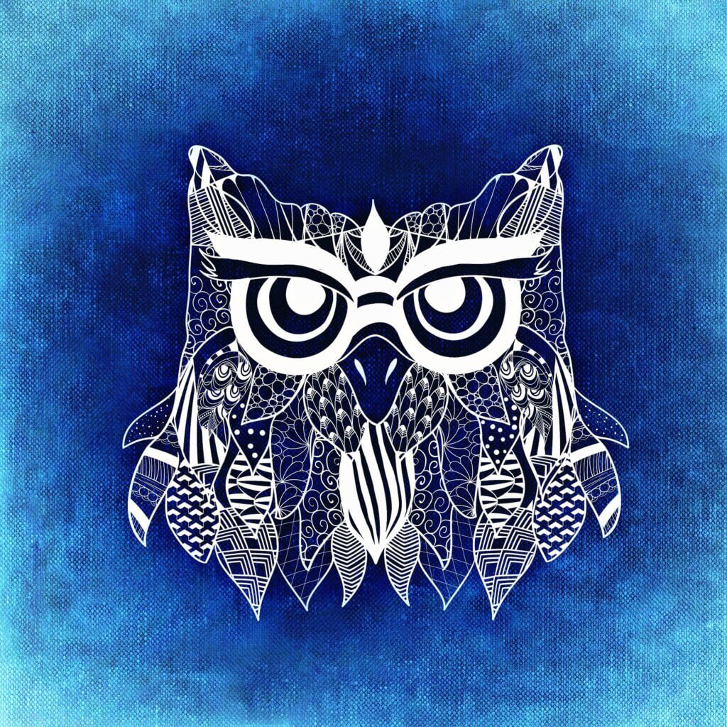 alexas fotos owl 1014942 1920