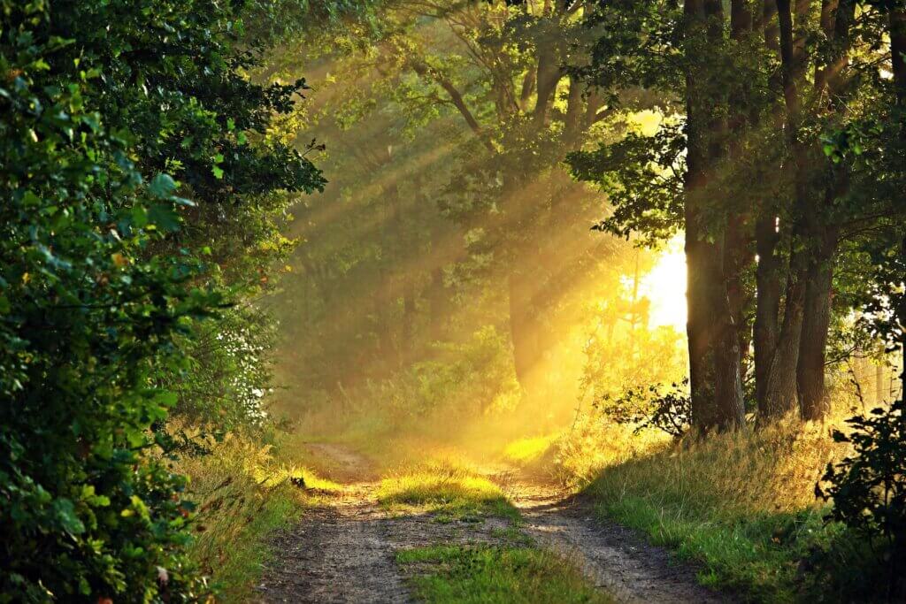 path 1605971 1920
