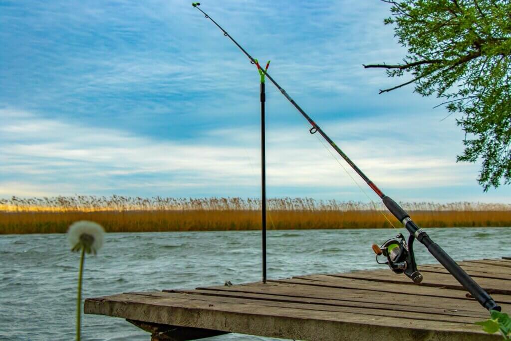 rod 4189003 1920