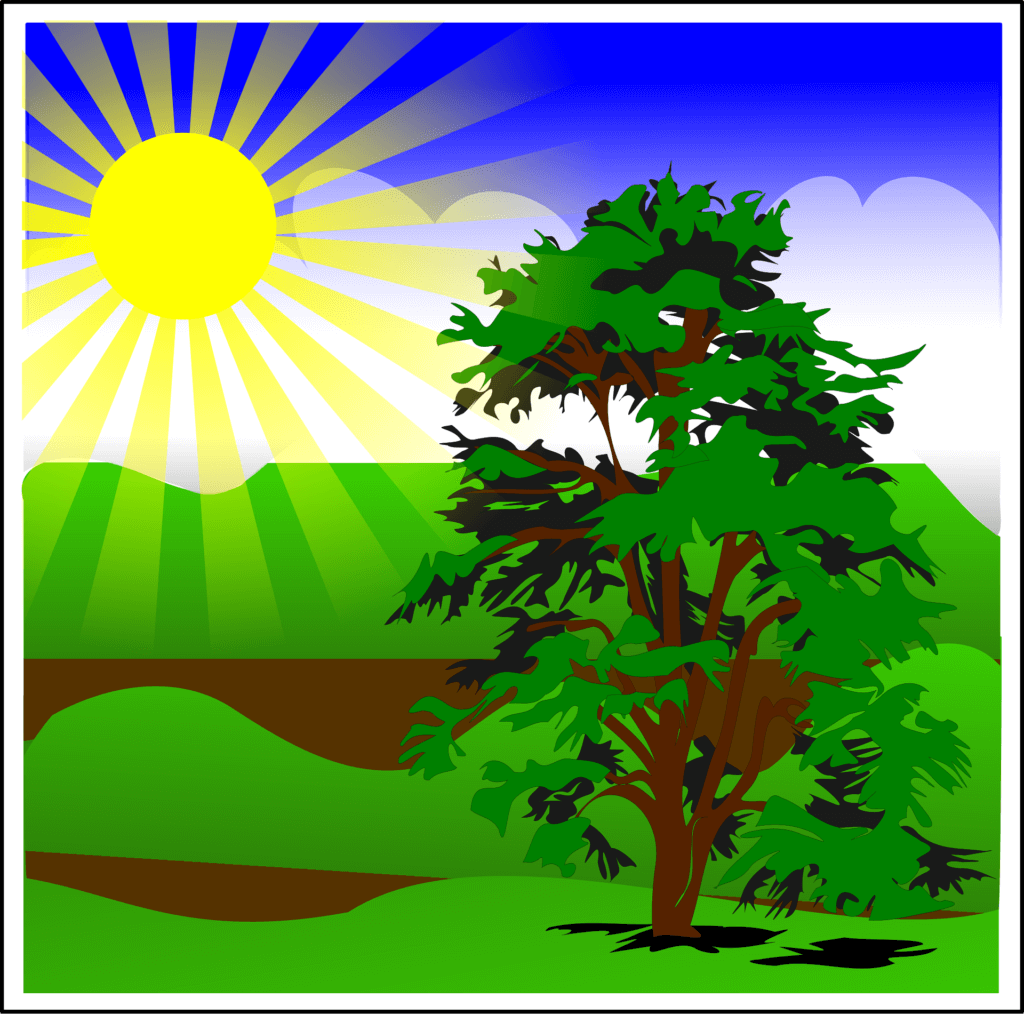 tree 146233 1920